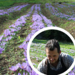 Les Saveurs du Val d'Amour